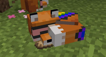 Sleeping fox.