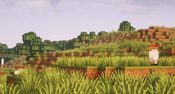 Landscape / Landschaft