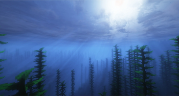 Underwater / Unterwasser