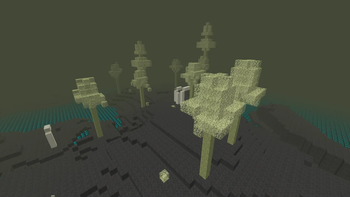 The Lightroot Forest