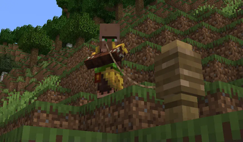 A VillagerOnALeash