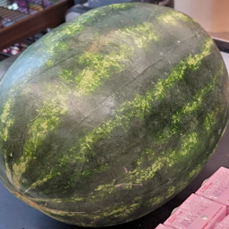 Melon Loader