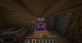 MD Craft