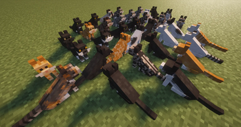 Showing off some patterns