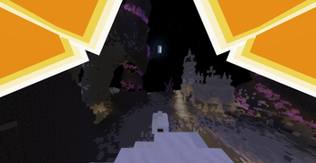 First Person View