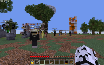 Looking at many players=~60fps