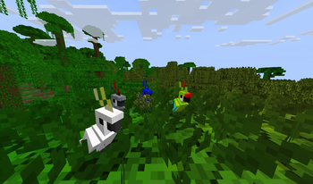 Parrots