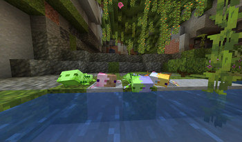 Mixed axolotls + Green axolotl