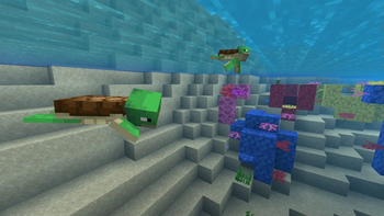 Brown shelled turtles