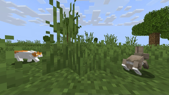 Basbous - Cover image