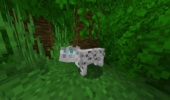 Snow ocelot