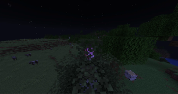 Bush Hiding