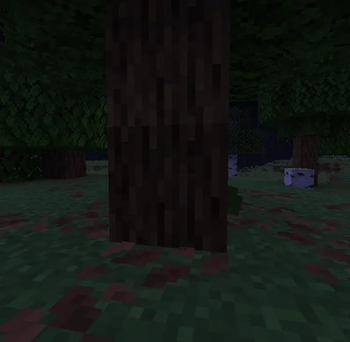 Sneak to fully disguise into the ground!