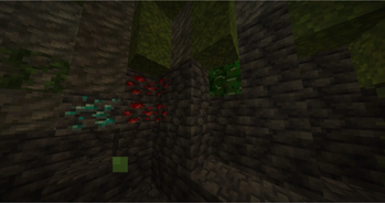 in caves