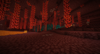 Walking under the Nether ceiling