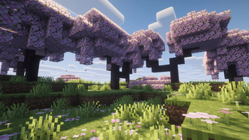 Shader Pack Support