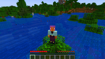 Flood mod — screenshot 1