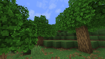 Better foliage
