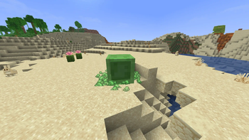 Entity particles