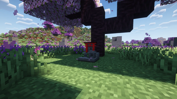 Beneath the Blossoms (Shaders)