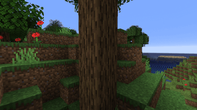Tree Felling in Action