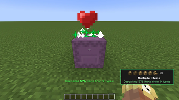 U can deposit as many different items as u want