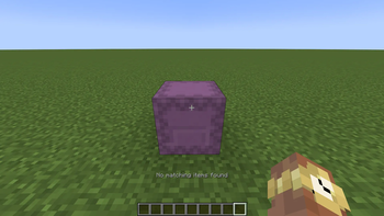 When there is no matching items in the shulker