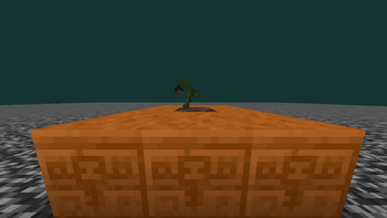 wither rose