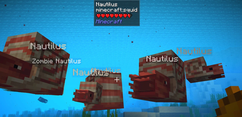 Is that Nautilus looking at me?