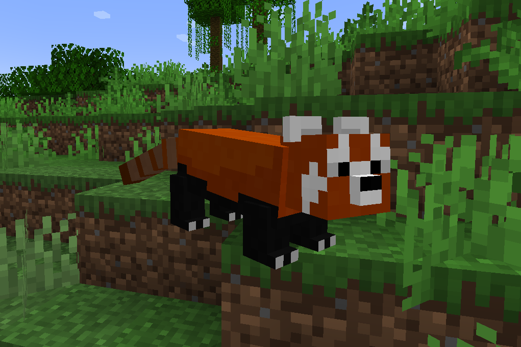 A red panda in the wild