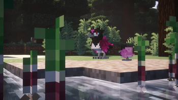 rookidee and corvisquire