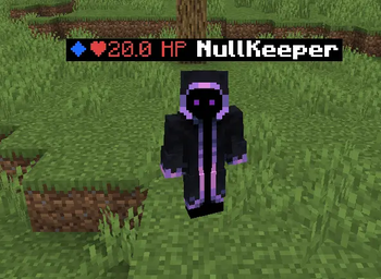 Nametag Customization