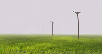 infinite grass fields