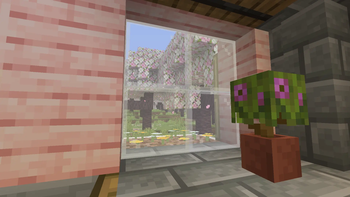 Window