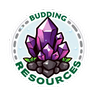 Budding Resources
