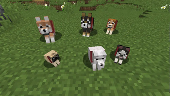 New dog breeds