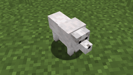 White Terrier