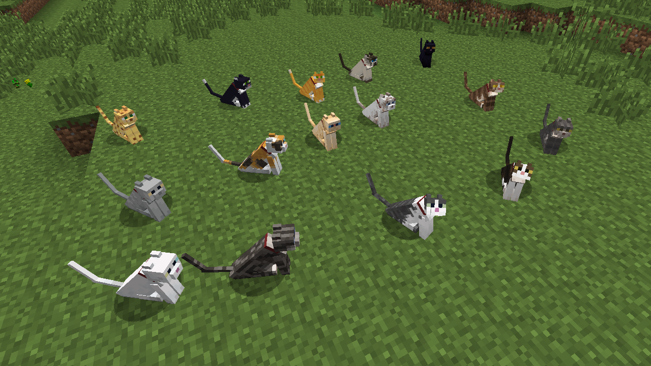 There are now multiple possible cat and dog skins. Twelve are backported from 1.14, one is an unused skin from bedrock edition, and the rest are custom skins.