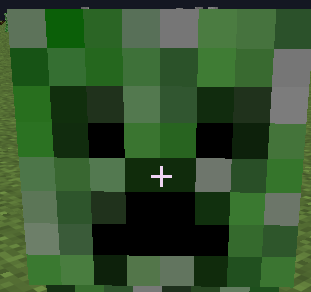 with the texture pack