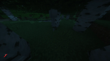 Skeleton's bow dropped after using wand