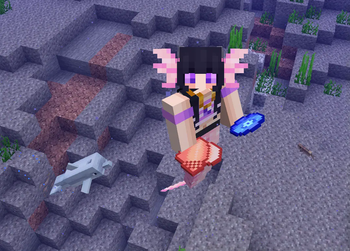 New Mermaid Tail Color, Conch Shell and Music Disc