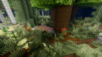 The Frontier of the Wild