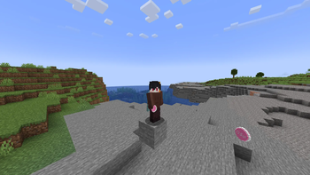 ingame