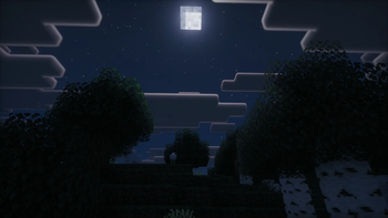 Forest Night