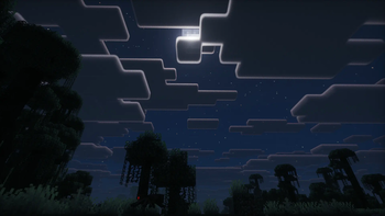 Jungle Night
