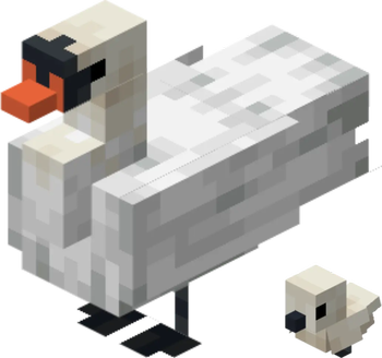 Swan
