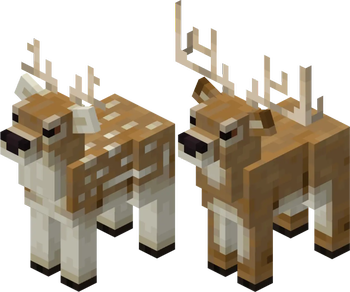 Deers