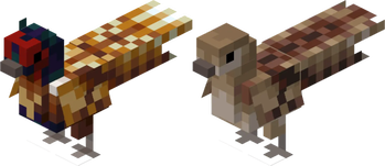 Pheasants