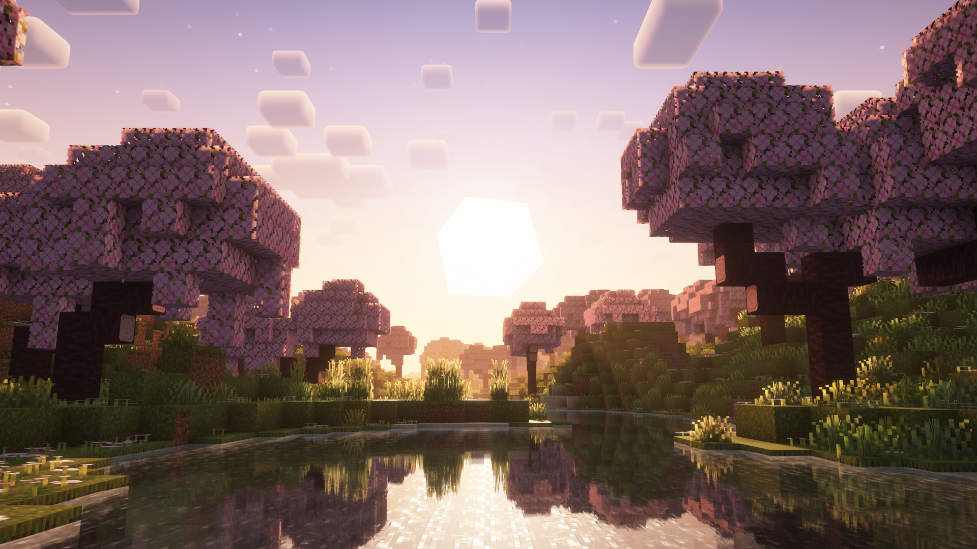 Cherry Sunset Complimentary Reimagined