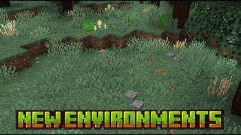 New environments